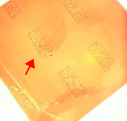 1573568540603329.png 1573568540603329.png